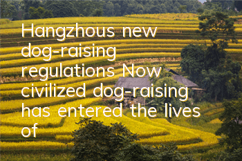 Hangzhou’s new dog-raising regulations Now civilized dog-raising has entered the lives of citizens!