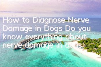 How to Diagnose Nerve Damage in Dogs Do you know everything about nerve damage in dogs?