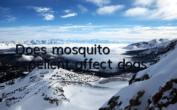 Does mosquito repellent affect dogs?