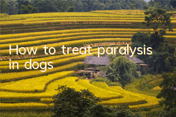 THow to treat paralysis in dogs