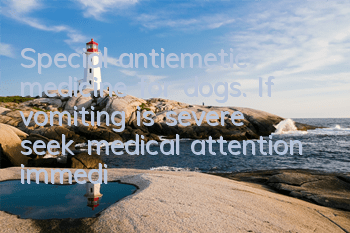 Special antiemetic medicine for dogs. If vomiting is severe, seek medical attention immediately!