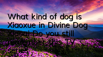 What kind of dog is Xiaoxue in Divine Dog Xiaoqi? Do you still remember this TV series?