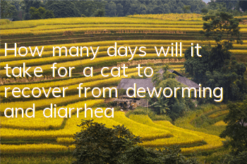 How many days will it take for a cat to recover from deworming and diarrhea?