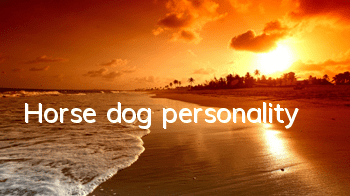 Horse dog personality
