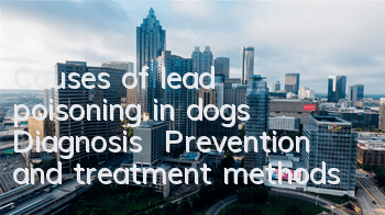 TCauses of lead poisoning in dogs | Diagnosis | Prevention and treatment methods