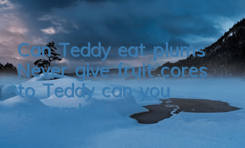 Can Teddy eat plums? Never give fruit cores to Teddy, can you remember?