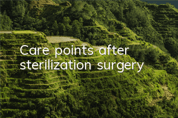 TCare points after sterilization surgery