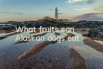 What fruits can Alaskan dogs eat?