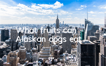 What fruits can Alaskan dogs eat?