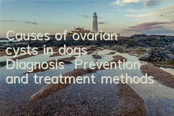 TCauses of ovarian cysts in dogs | Diagnosis | Prevention and treatment methods