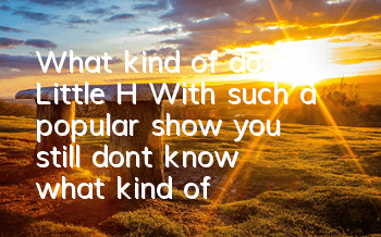 What kind of dog is Little H? With such a popular show, you still don’t know what kind of dog Little H is?