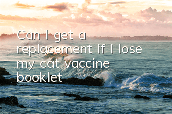 Can I get a replacement if I lose my cat vaccine booklet?