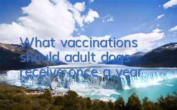 TWhat vaccinations should adult dogs receive once a year?