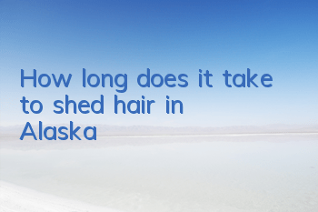 How long does it take to shed hair in Alaska?