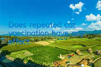 TDoes repeated cat vaccination have any effect?