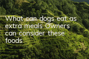 What can dogs eat as extra meals? Owners can consider these foods
