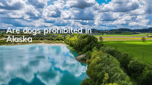 Are dogs prohibited in Alaska?
