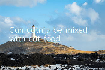 TCan catnip be mixed with cat food?