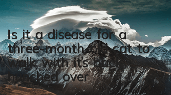 Is it a disease for a three-month-old cat to walk with its back hunched over?