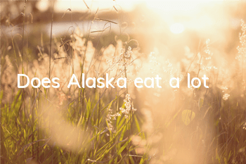 Does Alaska eat a lot?