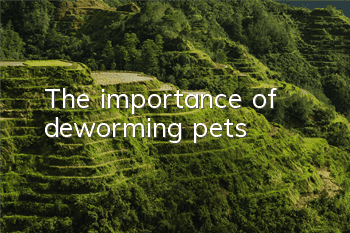 TThe importance of deworming pets