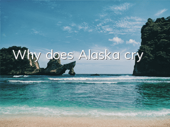 Why does Alaska cry?
