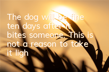 The dog will be fine ten days after it bites someone. This is not a reason to take it lightly.