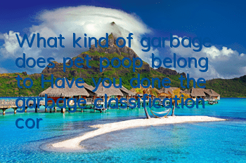 What kind of garbage does pet poop belong to? Have you done the garbage classification correctly?