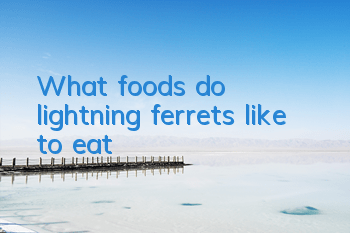What foods do lightning ferrets like to eat?