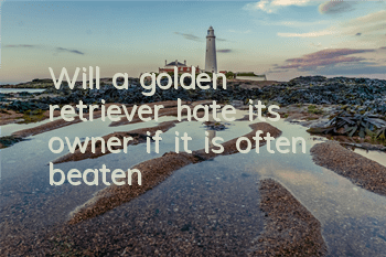 Will a golden retriever hate its owner if it is often beaten?