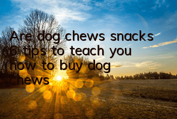 Are dog chews snacks? 6 tips to teach you how to buy dog ​​chews