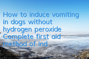 How to induce vomiting in dogs without hydrogen peroxide? Complete first aid method of inducing vomiting in dogs
