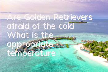 Are Golden Retrievers afraid of the cold? What is the appropriate temperature?