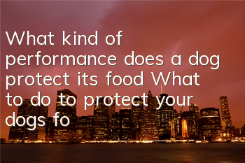 What kind of performance does a dog protect its food? What to do to protect your dog’s food