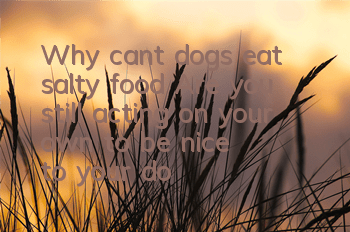 Why can’t dogs eat salty food? Are you still acting on your own to be “nice” to your dog?