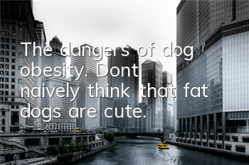 The dangers of dog obesity. Don’t naively think that fat dogs are cute.