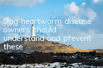 Dog heartworm disease owners should understand and prevent these