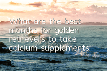 What are the best months for golden retrievers to take calcium supplements?