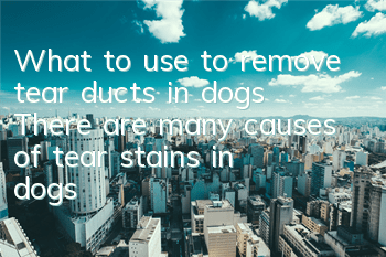 What to use to remove tear ducts in dogs? There are many causes of tear stains in dogs!