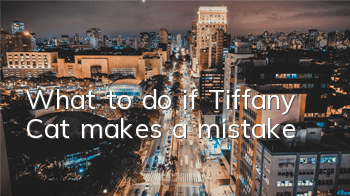 What to do if Tiffany Cat makes a mistake
