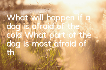 What will happen if a dog is afraid of the cold? What part of the dog is most afraid of the cold?