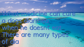 What medicine can cure a dog’s diarrhea when he doesn’t eat? There are many types of diarrhea in dogs!