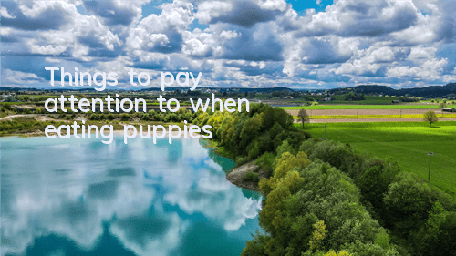 Things to pay attention to when eating puppies