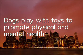 Dogs play with toys to promote physical and mental health
