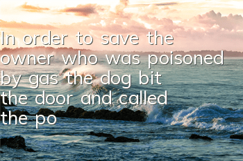 In order to save the owner who was poisoned by gas, the dog bit the door and called the police to rescue him.