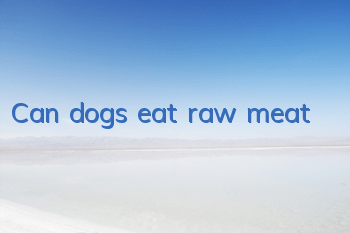 TCan dogs eat raw meat?