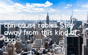 What kind of dog bite can cause rabies? Stay away from this kind of dog!