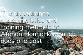 The appearance characteristics and training methods of Afghan Hound_How much does one cost?