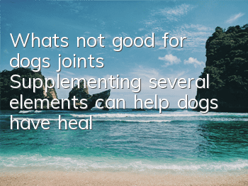 What’s not good for dogs’ joints? Supplementing several elements can help dogs have healthy joints