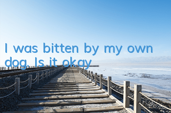 I was bitten by my own dog. Is it okay?